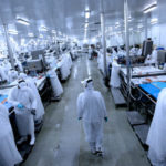 Empresas advierten más despidos: casi 1.000 cesantes generaría regulación en pesca de jibia